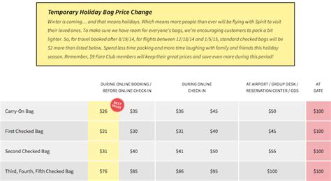 spirit bag fees for checked